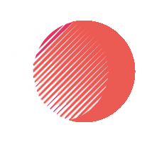 AIVOLUTE
